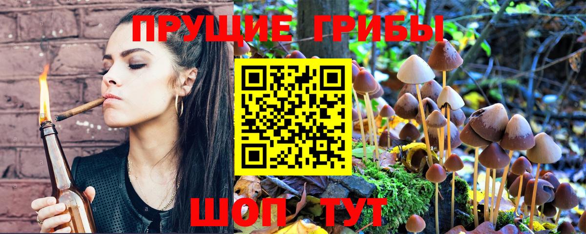 Псилоцибиновые грибы Cubensis  Вход с VPN  Галлюциногенные грибы Psilocybine cubensis  Кузнецк 